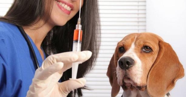 СКАЗ: ЧИМ НЕБЕЗПЕЧНЕ ЗАХВОРЮВАННЯ ТА ЯК УБЕРЕГТИСЯ