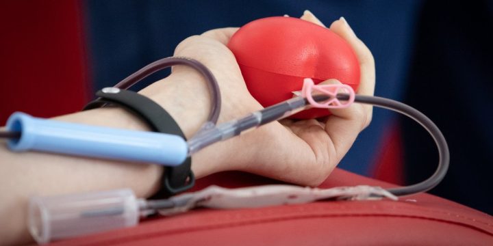 Донорство крові: як підготуватися, які є протипоказання та міфи про процедуру