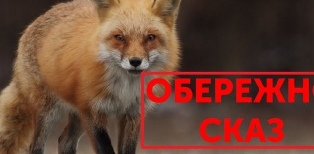 12 фактів про сказ