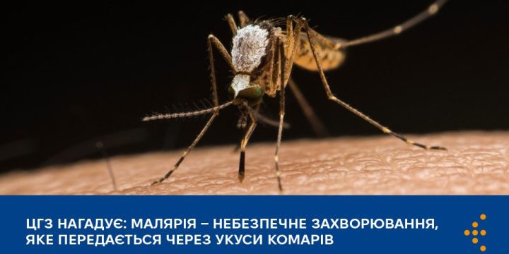 Малярія — небезпечне захворювання, яке передається через укуси комарів