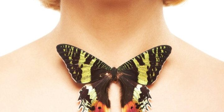 Щороку 25 травня в багатьох країнах світу відзначається Всесвітній день щитовидної залози