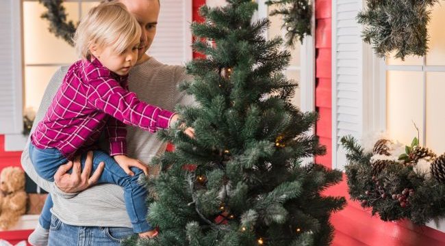 Жива ялинка в будинку: як вона може нашкодити організму
